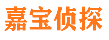 保亭市私家侦探